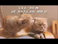 Download Lagu G.N.A - Kiss Me ( ost. Play Full Kiss) Speed Up