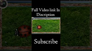 Make a game with kivy