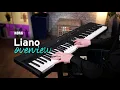 Download Lagu Explore the Korg Liano
