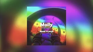 Molly Forgotten Slowed X Reverb 