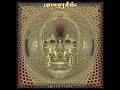 Amorphis - The Bee