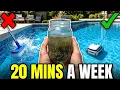The Forbidden 2-Ingredient Pool Fix That Clears ANY Pool in 12 Hours