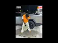 FREE Real Boston Richey Type Beat 2025 - Bag Different