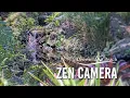 Zen Camera - Deerfield Beach Arboretum at Constitution Park