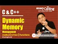 Dynamic Memory Management in C malloc free function DSA tutorial -
