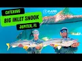 Catching Massive Snook in Jupiter - Florida Fishing Loxahatchee River Ecotour