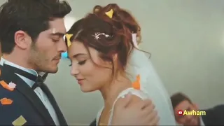 ياسر عبد الوهاب   شيليني ولميني   حصريا  دندنها
