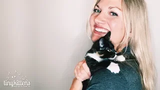 Meet Aura a tiny kitten beating the odds - TinyKittens com