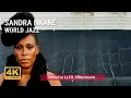 Download Lagu Sandra Nkaké @ Le Fil