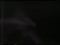 Skinny Puppy ~ Tin Omen 1992 Last Rights Tour (5 of 16)