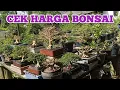 Download Lagu Bekijk de laatste Bonsaiprijzen