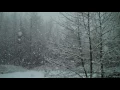 Snow 01-01-2017 Snow fall in Kelso Washington on New Years Day