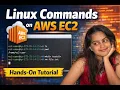 Learn Linux Commands Practically Using AWS EC2 Step-by-Step Guide