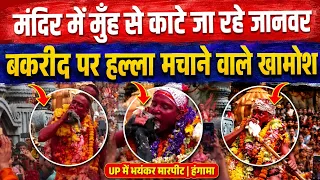 मंदिर में मुँह से का"टे जा रहे जानवर | बकरीद पर हल्ला मचाने वाले खामोश | UP में भयंकर बवाल | OJNEWS 