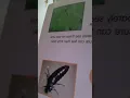 Creepy Crawlies A to Z book by Louisa Ainsworth