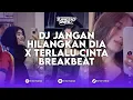 Download Lagu DJ JANGAN HILANGKAN DIA X TERLALU CINTA BREAKBEAT KING PLAT KH BY AksalOliver X Herumi X LangitXDI