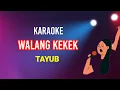 Lagu WALANG KEKEK - TAYUB