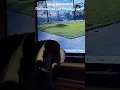 Great Dane Loves TV News Story or just Deiah Riley