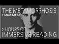 Download Lagu The Metamorphosis By Franz Kafka. Dark Academia. Perfect Music to Accompany A Classic Read