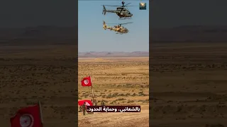 ماذا نعرف عن الجيش التونسي في           تونس  الجيش                                        دندنها