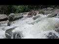 Rumbling SOUND OF RIVER WATER FROM THE FOOTSTEPS OF MOUNTAIN SLAMET, Central Java#explor#nature