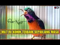 Download Lagu KONIN GACOR FULL TEMBAKAN || COCOK UNTUK MASTERAN \u0026 PANCINGAN KOLIBRI NINJA BAHAN DAN MALAS BUNYI