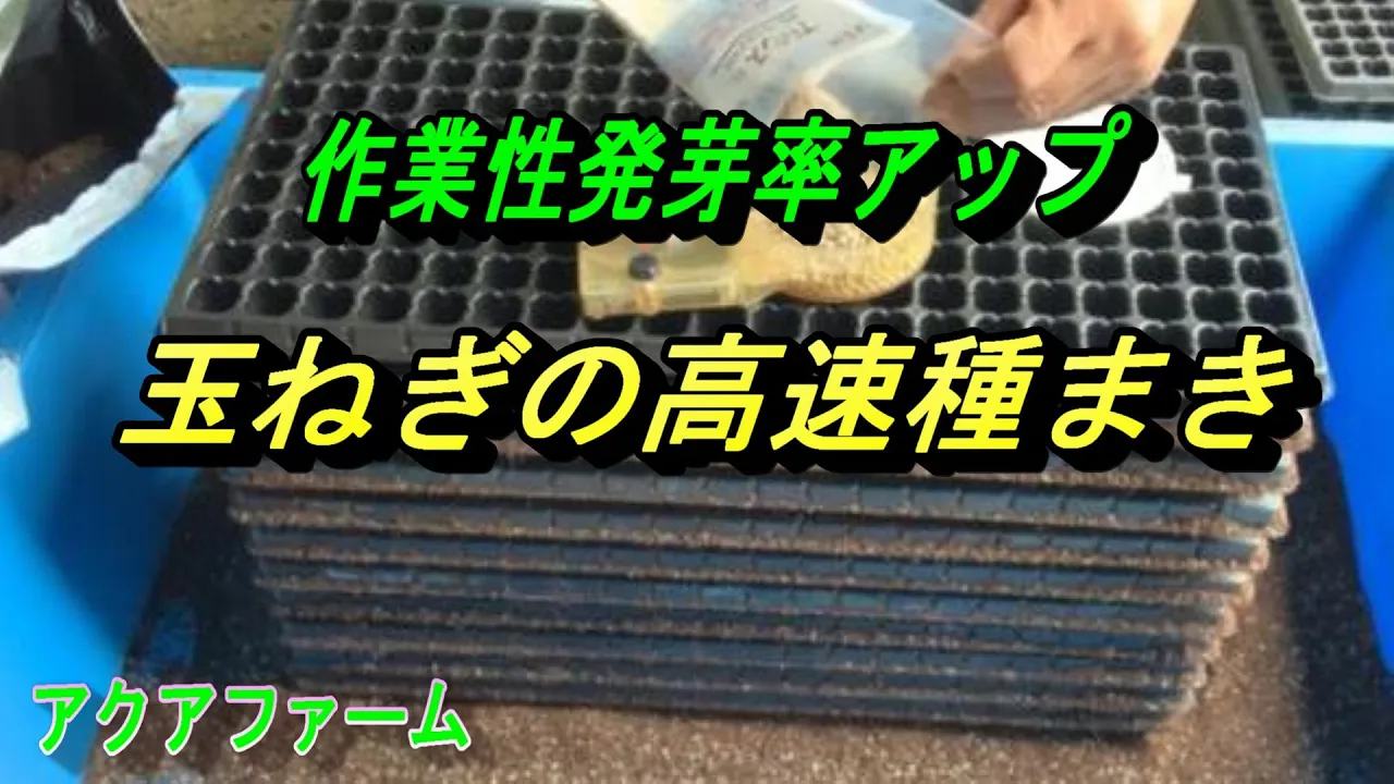 玉ねぎの高速種まき