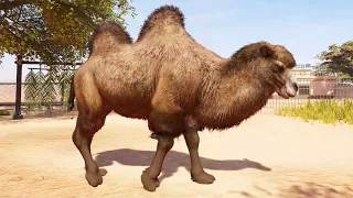 Planet Zoo 2 - Bactrian Camel Gameplay (PS5 UHD) [4K30FPS]