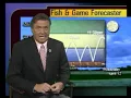 All About the Fish Game Forecast