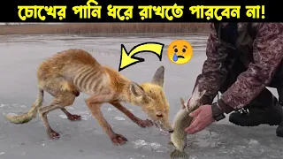 ভিডিওটি দেখার সময় কাদবেন না! নিজেই মানুষের কাছে জীবনে শেষ বারের মত সাহায্য চাইতে এসেছে!