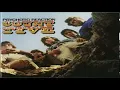 C̰o̰ṵn̰t̰ ̰F̰ḭv̰ḛ-̰P̰s̰y̰c̰h̰o̰t̰ḭc̰ Reaction --1966-- Full Album HQ