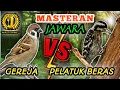 Lagu GEREJA TARUNG VS PELATUK BERAS