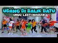 Download Lagu UDANG DIBALIK BATU | KU TAK MAU LAGI KAU TIPU | UNGU LESTI NASSAR | TIKTOK VIRAL | CHOREO ZIN CHICIE