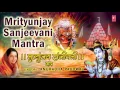Download Lagu मृत्युंजय महादेव मंत्र Mrityunjay Sanjeevani Mantra | Om Mrutunjay Mahadev | ANURADHA PAUDWAL |Audio