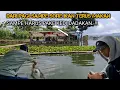 Download Lagu GOOKIL SIH INI !! SAMPE PAKE KEDI !! SAKING BANYAK NYA IKAN DI SPOT INI !!