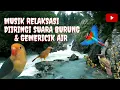 Download Lagu MUSIK RELAKSASI SUARA BURUNG DAN AIR MENGALIR