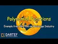 Real-Life Applications of Polynomial Functions