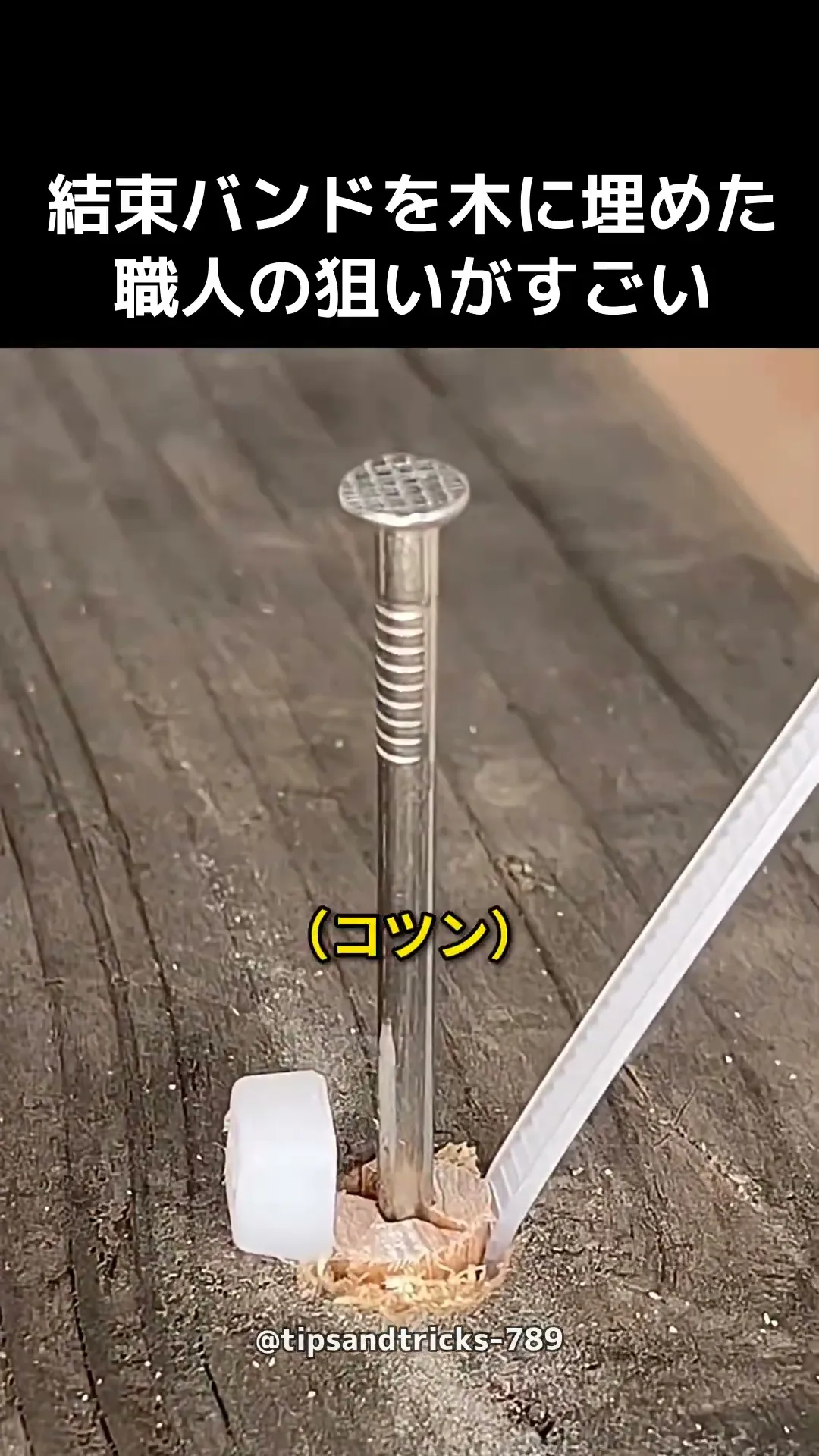 結束バンドを木に埋めた、職人の狙いがすごい