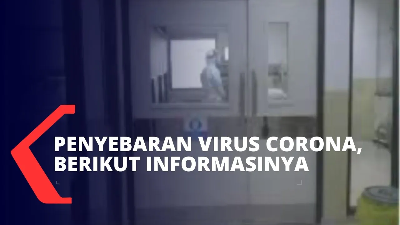 Apa itu virus corona ?. 