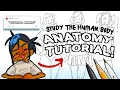 HOW TO DRAW ANATOMY breaking down the steps to drawing bodies