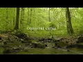 Олег Винник - Вовчиця (Lyric Video)