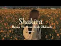 Shakira - Nunca Me Acuerdo de Olvidarte///[letra]