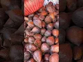 Download Lagu Amazing Malaysian fruit #fruit