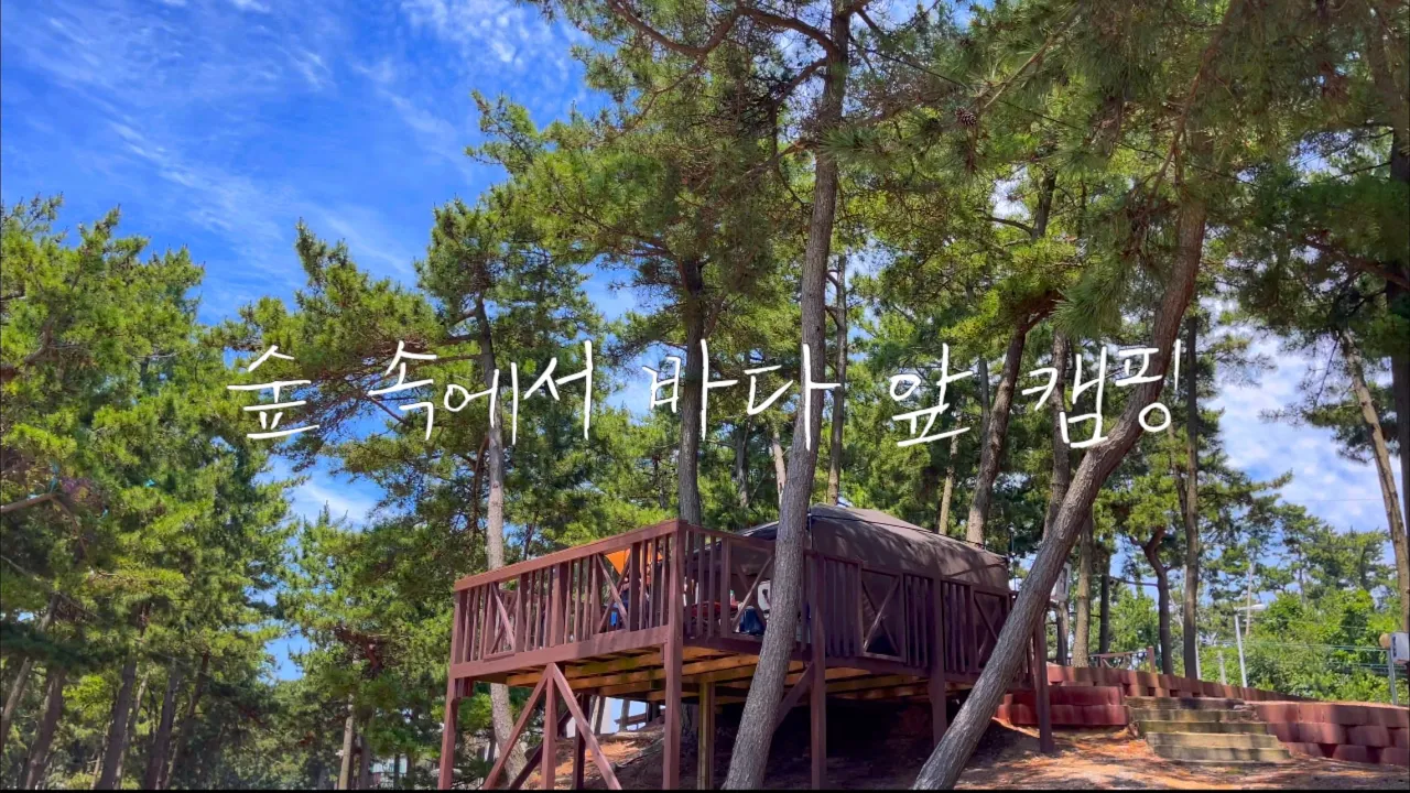 애견동반 캠핑 | 숲 속 나만의 아지트 🏕 (feat. 폭염주의보) | 전망 좋은 바다뷰 | 해루질과 노을이 있는 곳 | 태안 곰섬캠핑장 썸네일