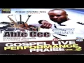 Download Lagu 3TIMES BEST GOSPEL ARTISTE OF THE YEAR ABLE CEE, CHIKAODIRI OKPARA IN LIVE PERFORMANCE (VOL.2)