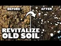 2 Easy Methods to Revitalize OLD Potting Soil