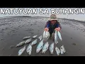 Download Lagu Natuyuan Sa Buhanginan Ang Daming Isda😱 Bago Bumagyo Dito Sa Taiwan 