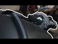 Zaros Accidentally Inflates Xandiel