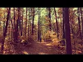 Download Lagu Yellow Lights-Finding Hope