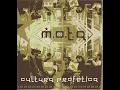 QUE SERA cultura profetica